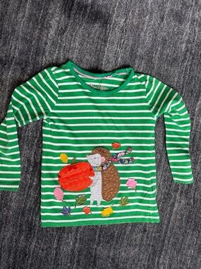 Green Striped Hedgehog Appliqué Long Sleeve Top - Kids